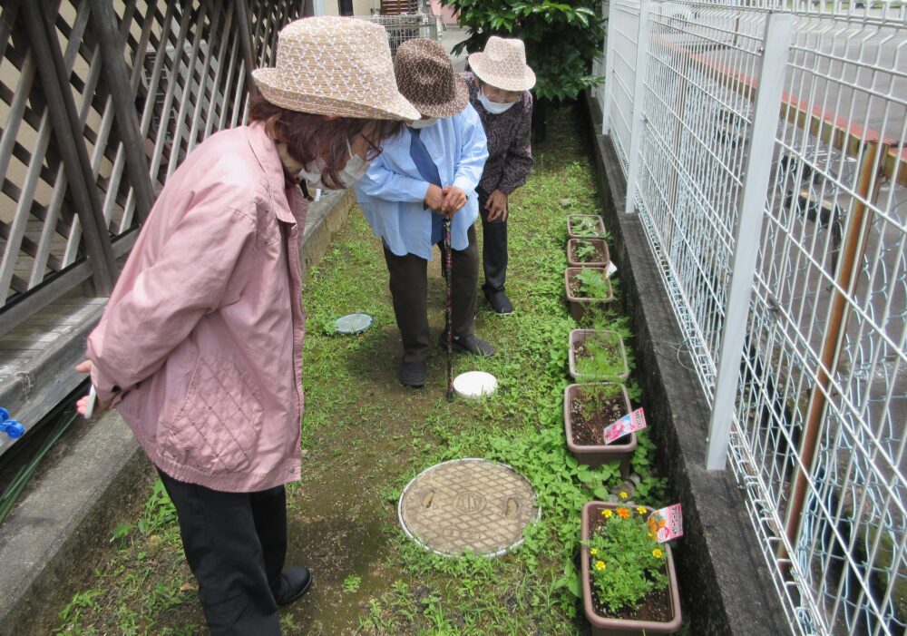 静岡市葵区グループホーム_菜園活動