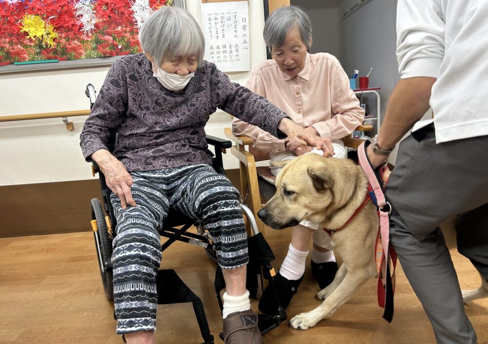 静岡市葵区グループホーム_ドッグセラピー