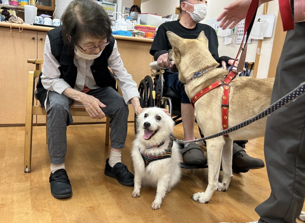 静岡市葵区グループホーム_ドッグセラピー