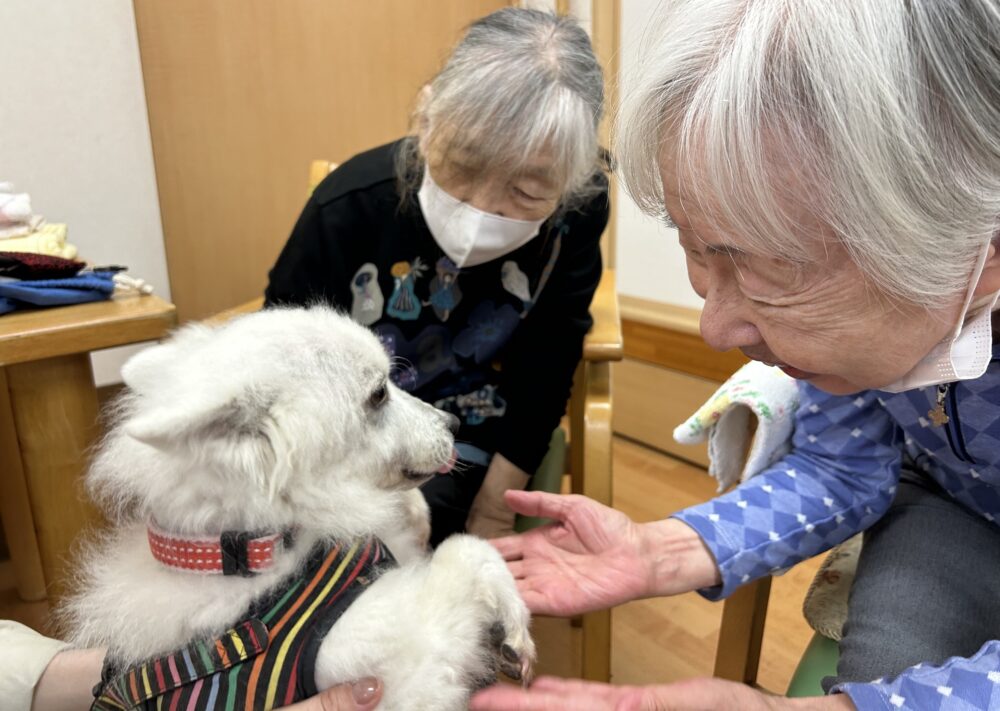 静岡市葵区グループホーム_ドッグセラピー