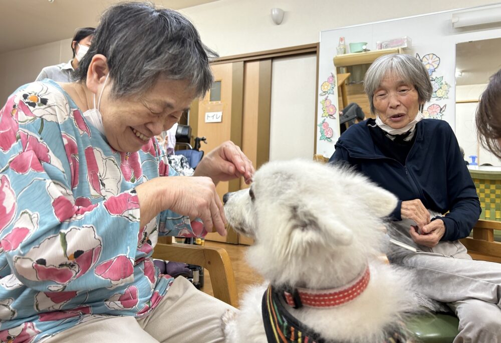 静岡市葵区グループホーム_ドッグセラピー