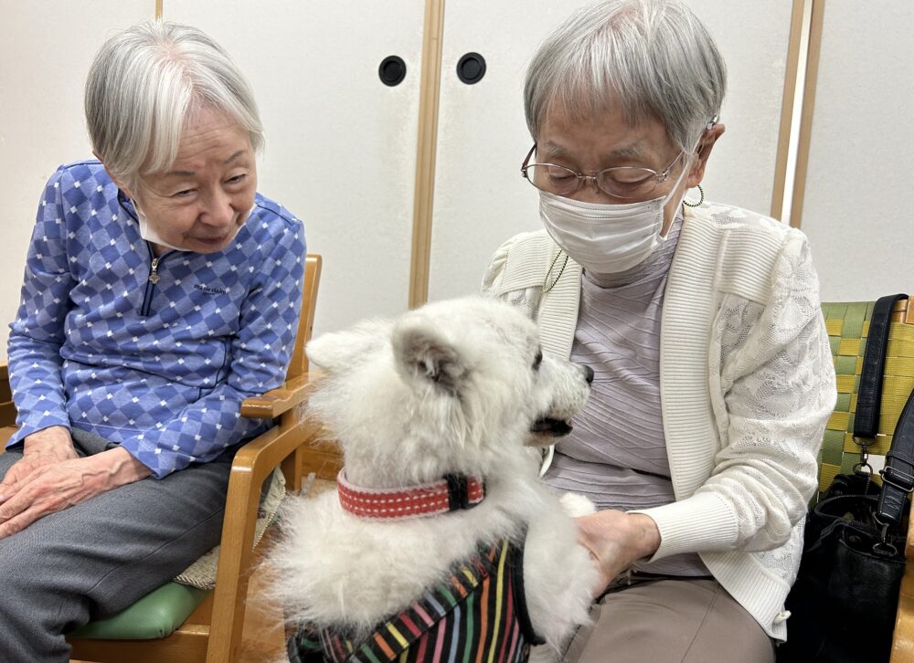 静岡市葵区グループホーム_ドッグセラピー