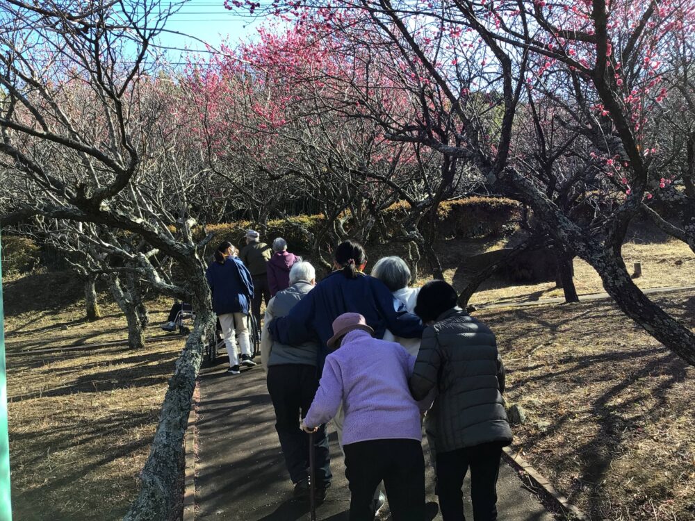 静岡市駿河区グループホーム_外出レクリエーション日本平梅園