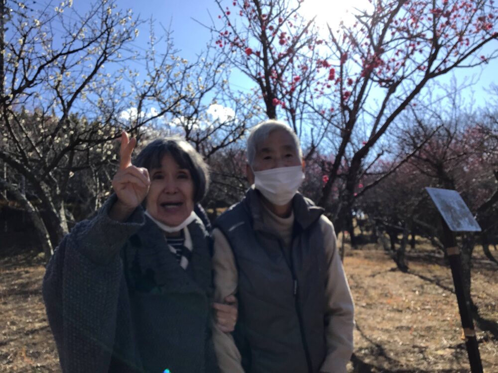 静岡市駿河区グループホーム_外出レクリエーション日本平梅園