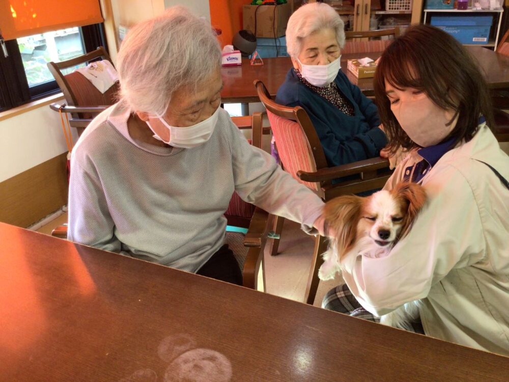 静岡市駿河区グループホーム_動物ふれあい