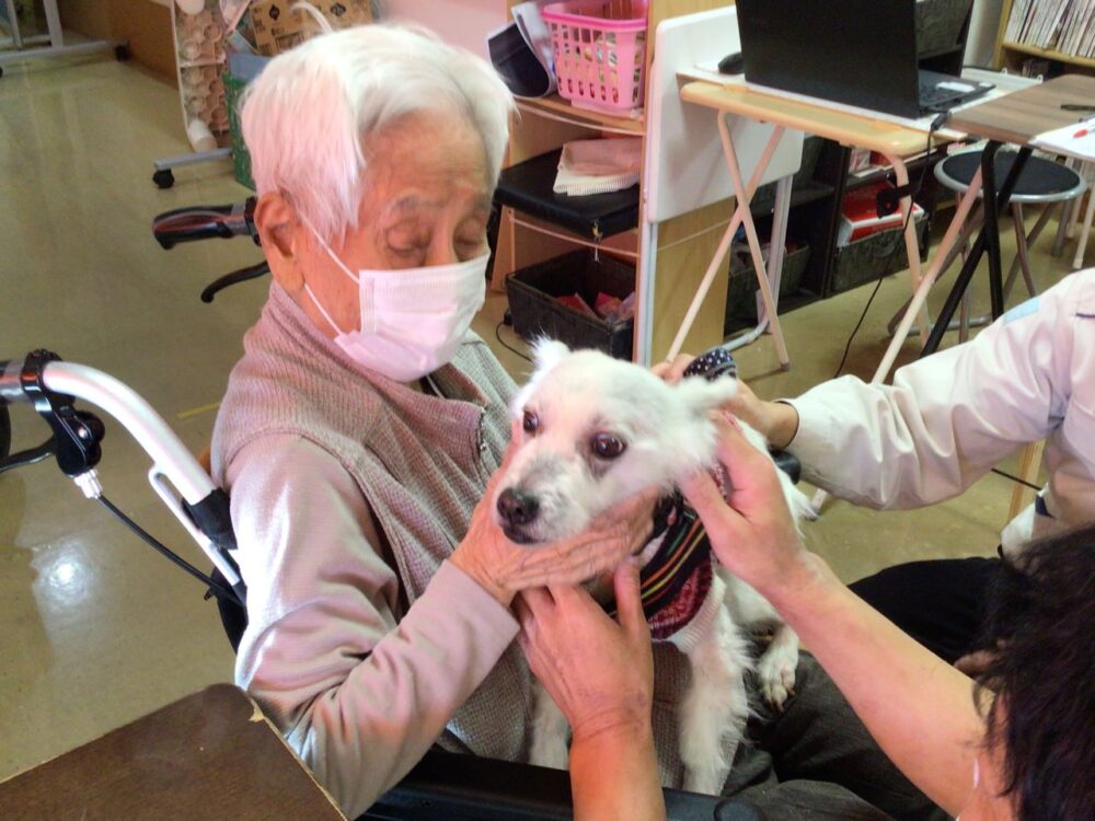 小鹿公園前小規模多機能　動物ふれあい