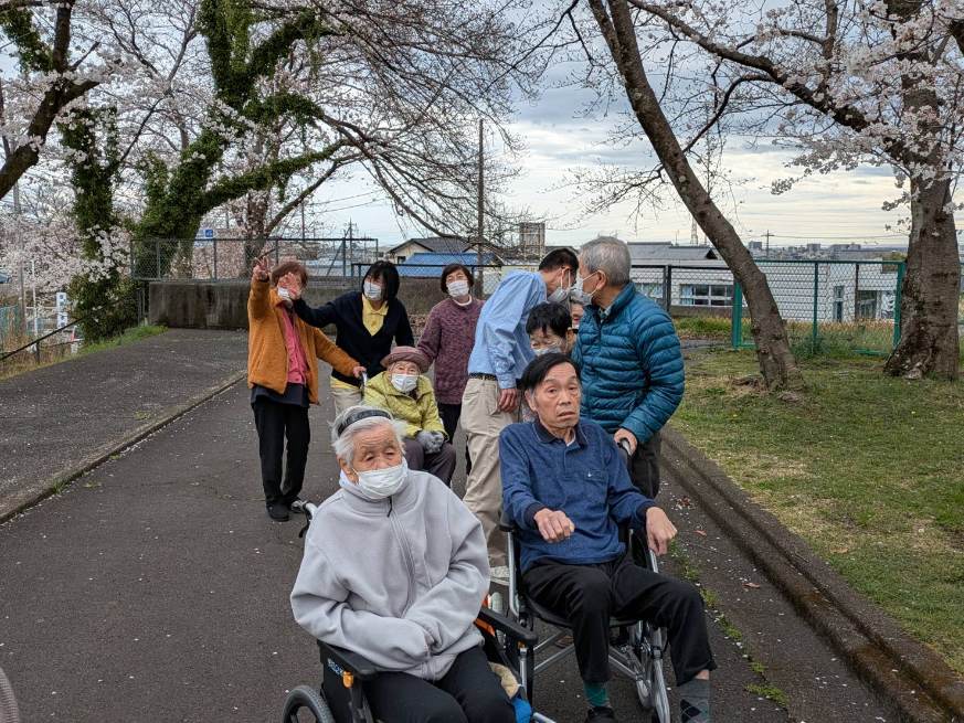 厚原小規模多機能 外出レク『桜を見に行こう!』2025.4.2
