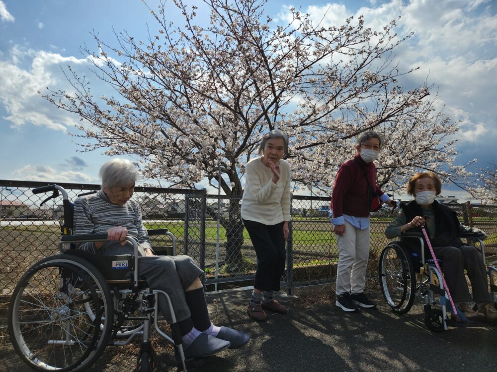 藤枝市グループホーム_青葉町悠々散歩Vol4お花見散歩