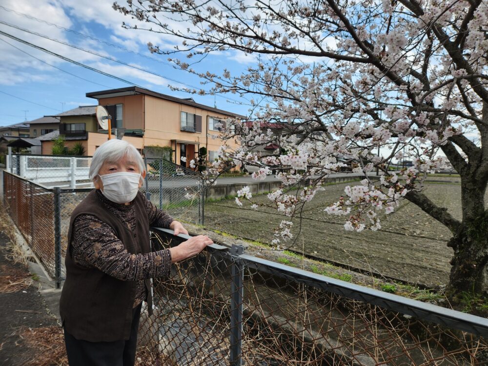 藤枝市グループホーム_青葉町悠々散歩Vol4お花見散歩