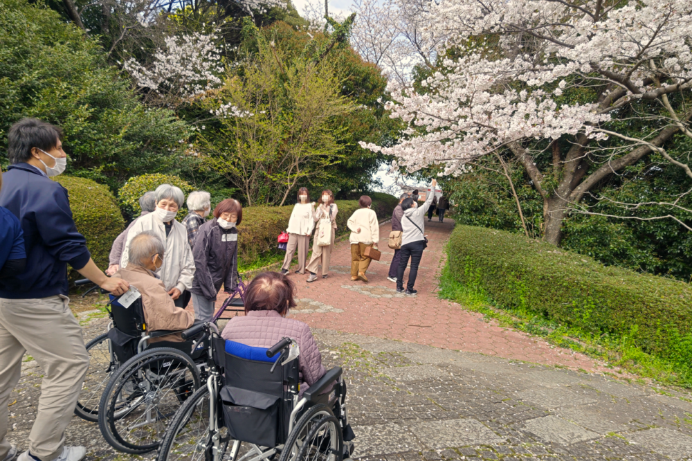 静岡市清水区デイサービス_桜のある風景