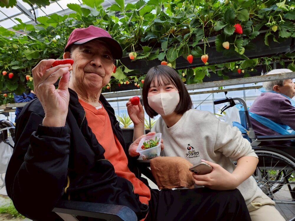 藤枝市グループホーム_青葉町悠々散歩Vol5いちご狩りツアー