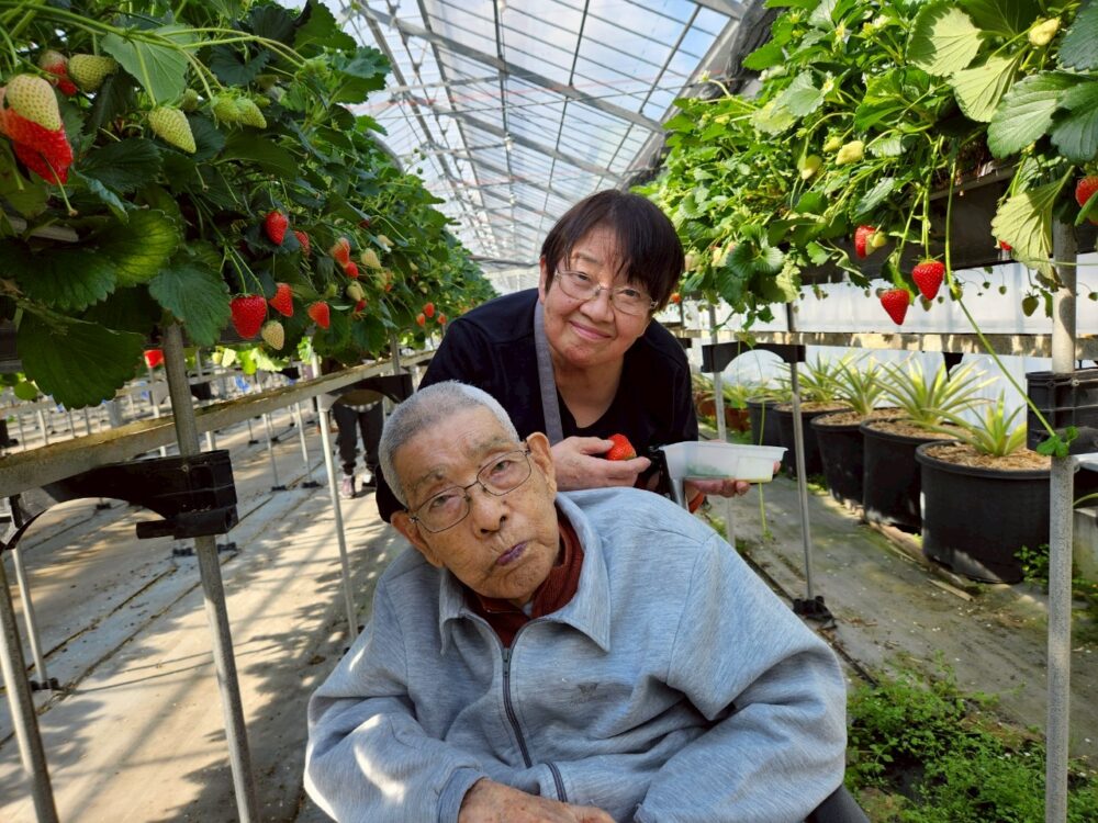 藤枝市グループホーム_青葉町悠々散歩Vol5いちご狩りツアー
