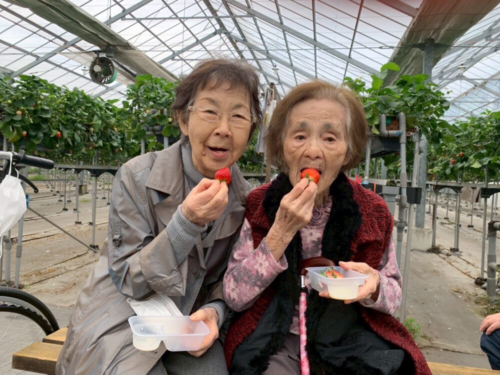 藤枝市グループホーム_青葉町悠々散歩Vol5いちご狩りツアー