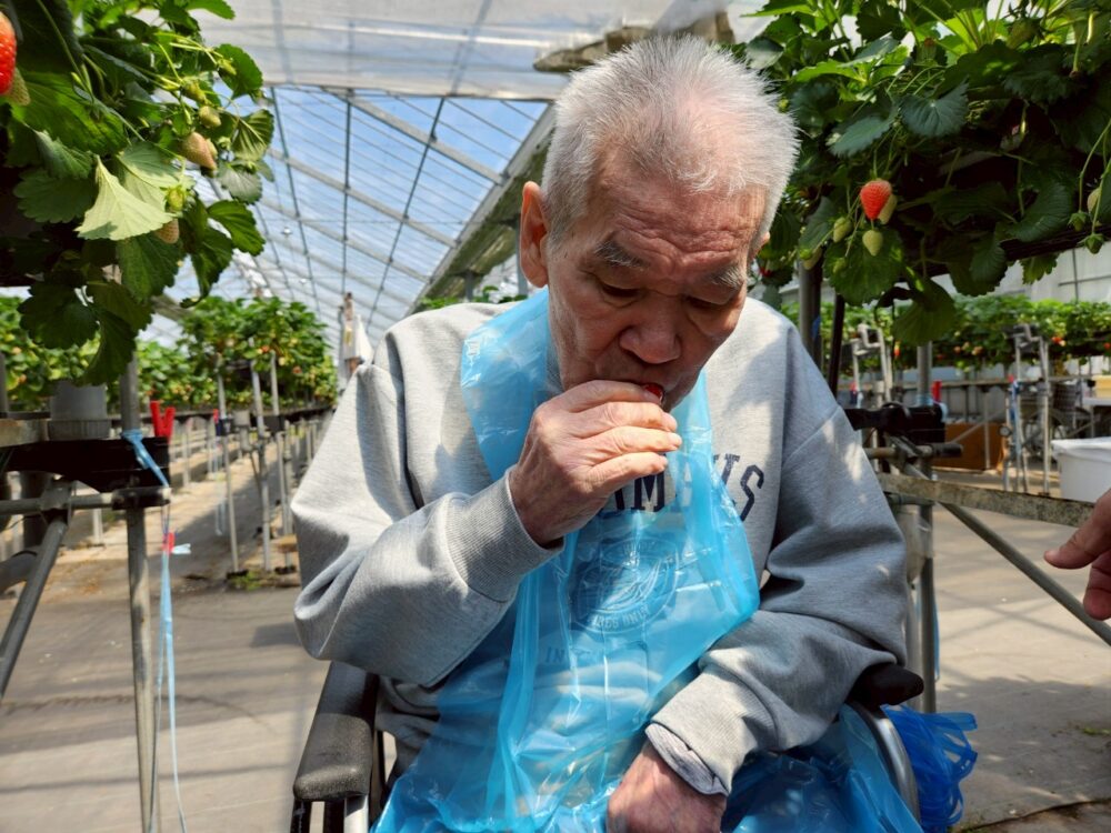 藤枝市グループホーム_青葉町悠々散歩Vol5いちご狩りツアー