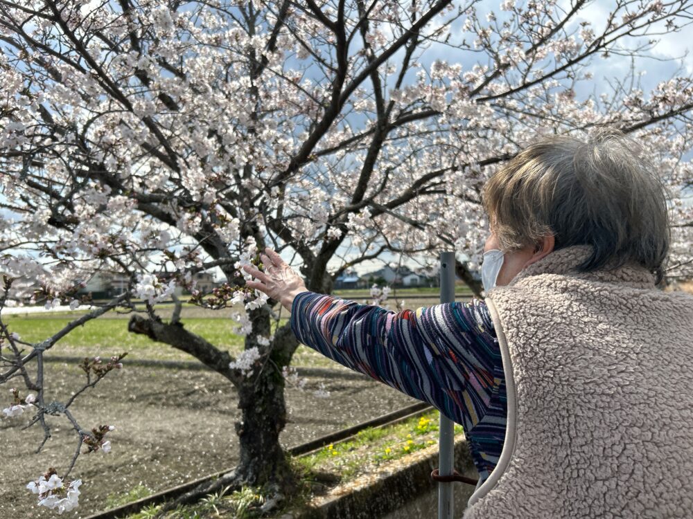 藤枝市グループホーム_青葉町悠々散歩Vol4お花見散歩