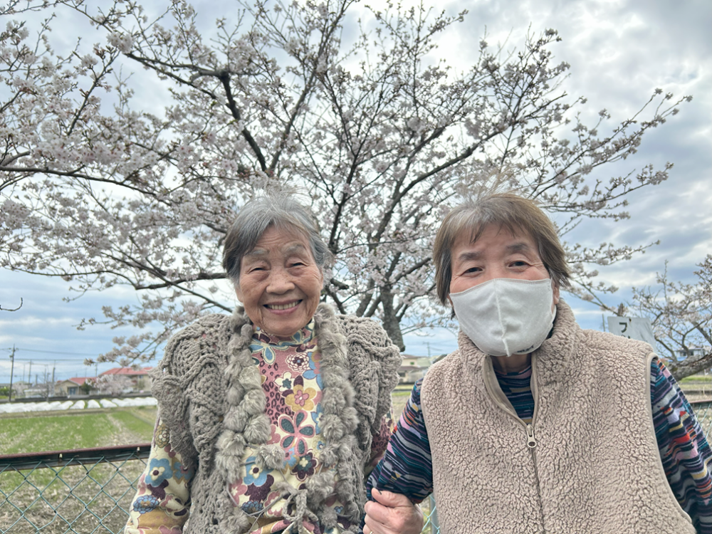 藤枝市グループホーム_青葉町悠々散歩Vol4お花見散歩