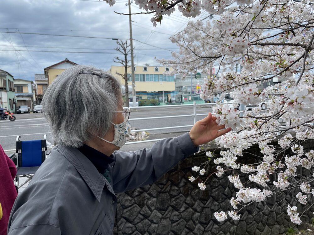 静岡市駿河区グループホーム_お花見レクリエーション