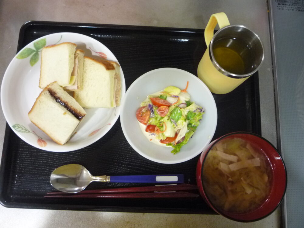 静岡市清水区グループホーム_食事作りレクサンドイッチでピクニック気分