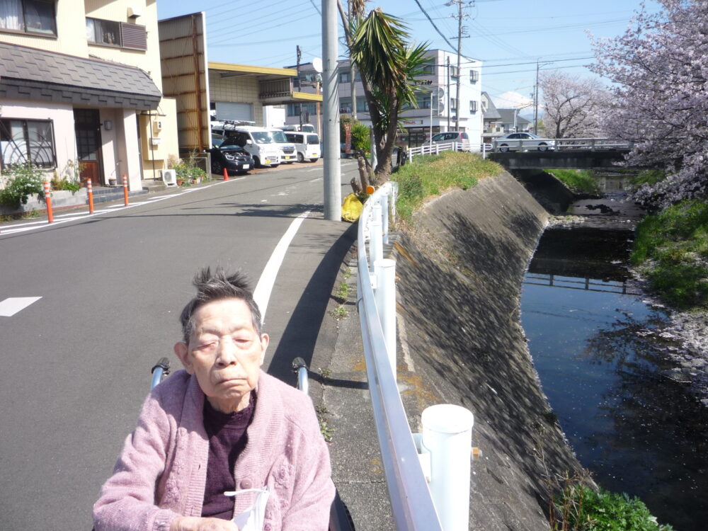 静岡市清水区グループホーム_大沢川へお花見さんぽ