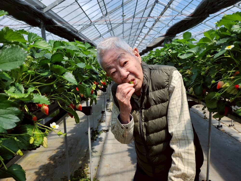 藤枝市グループホーム_青葉町悠々散歩Vol5いちご狩りツアー