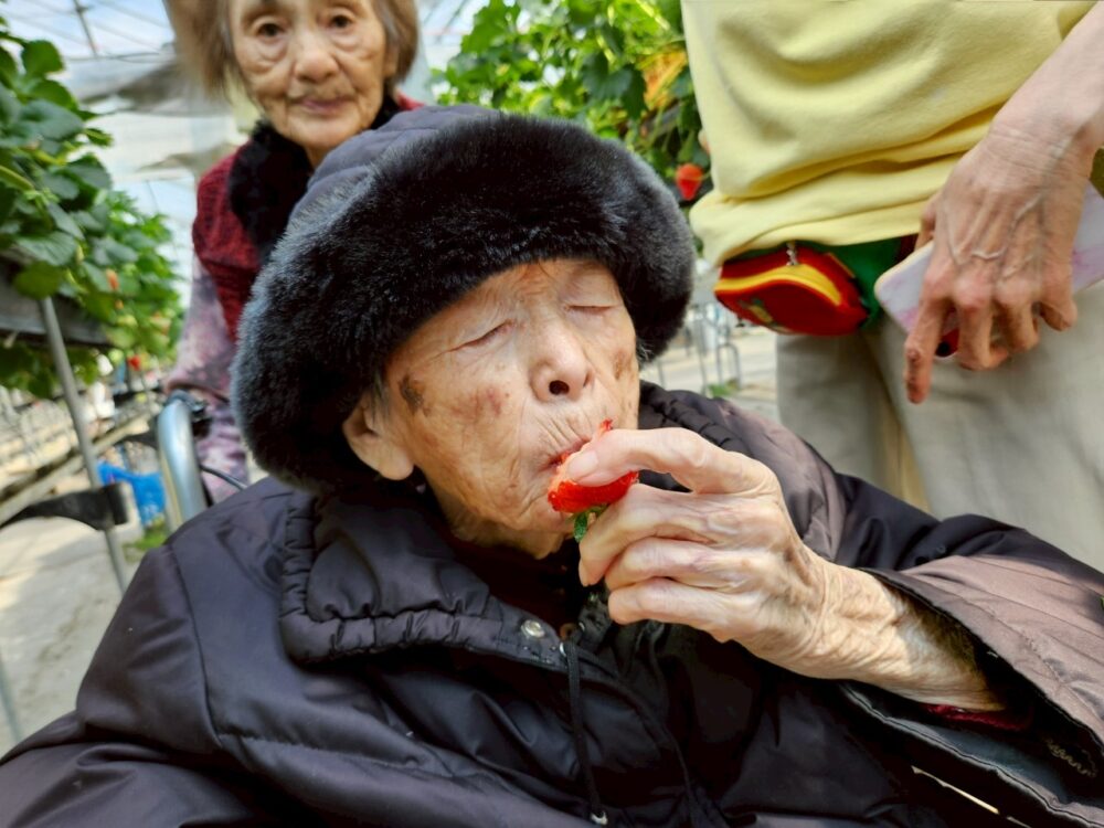 藤枝市グループホーム_青葉町悠々散歩Vol5いちご狩りツアー