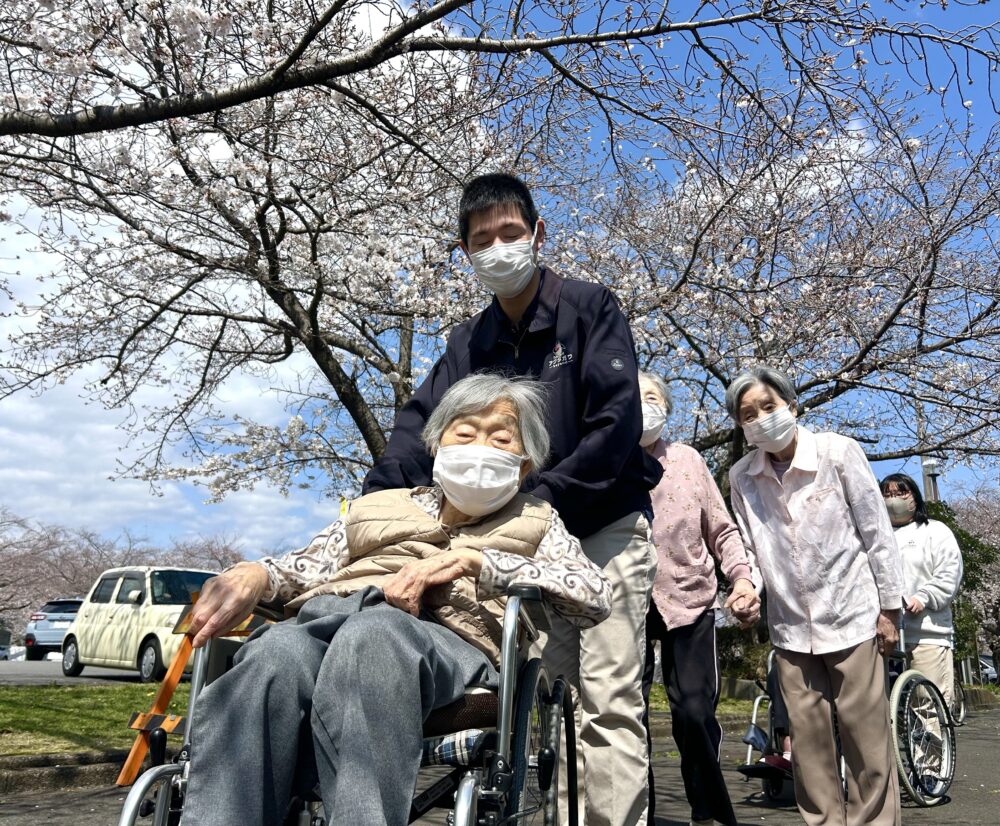 富士市グループホーム_桜観賞ドライブ