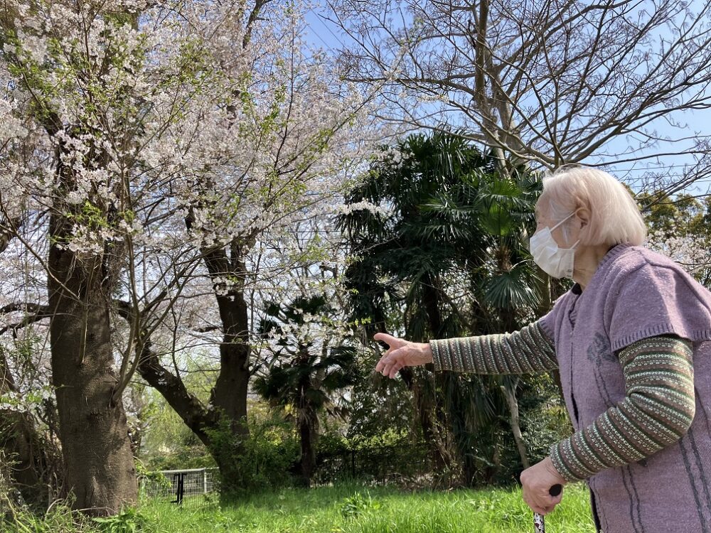 沼津市グループホーム_お花見ドライブ2025