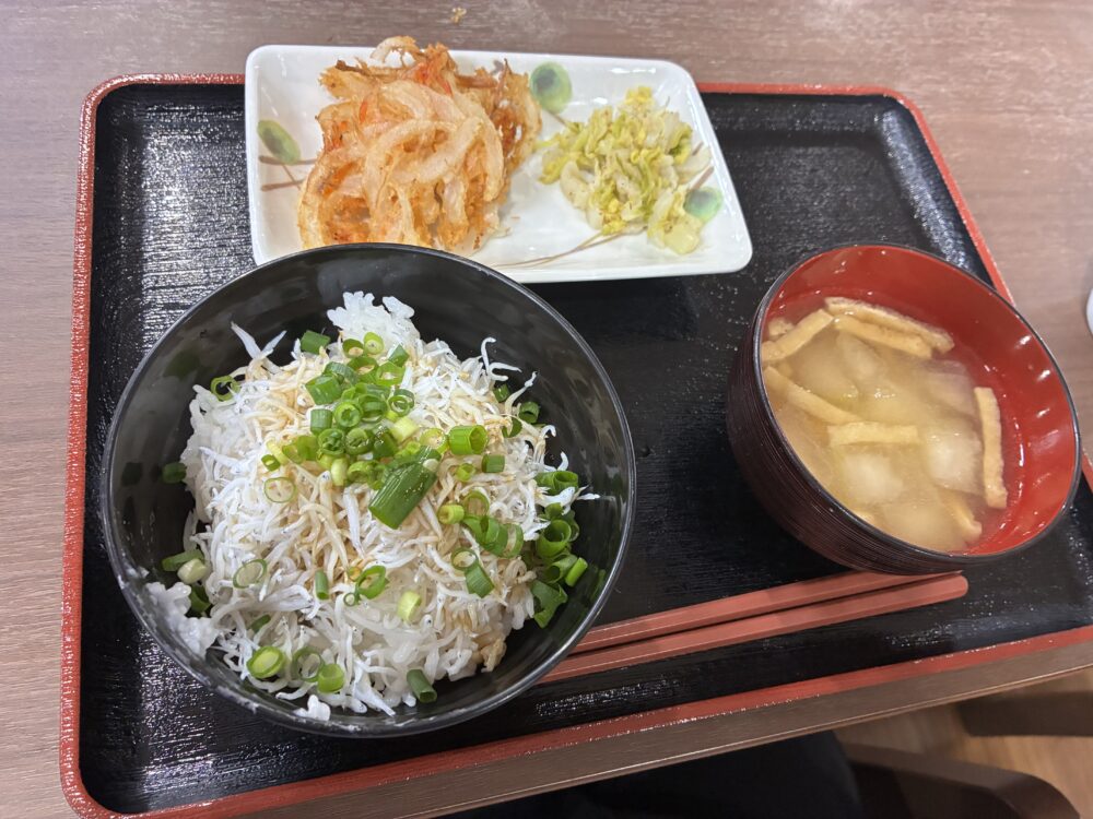 島田東グループホーム　しらす丼と桜エビのかき揚げで春の味覚を楽しもう！