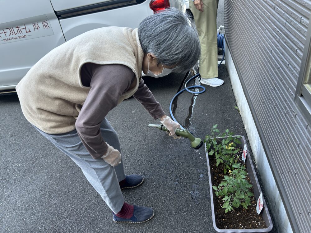 富士市グループホーム_家庭菜園を始めました