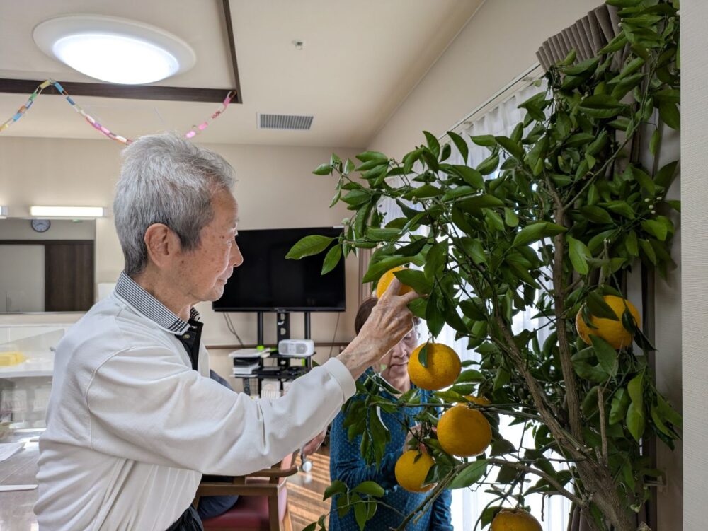 富士市グループホーム_甘夏狩りレクリエーション