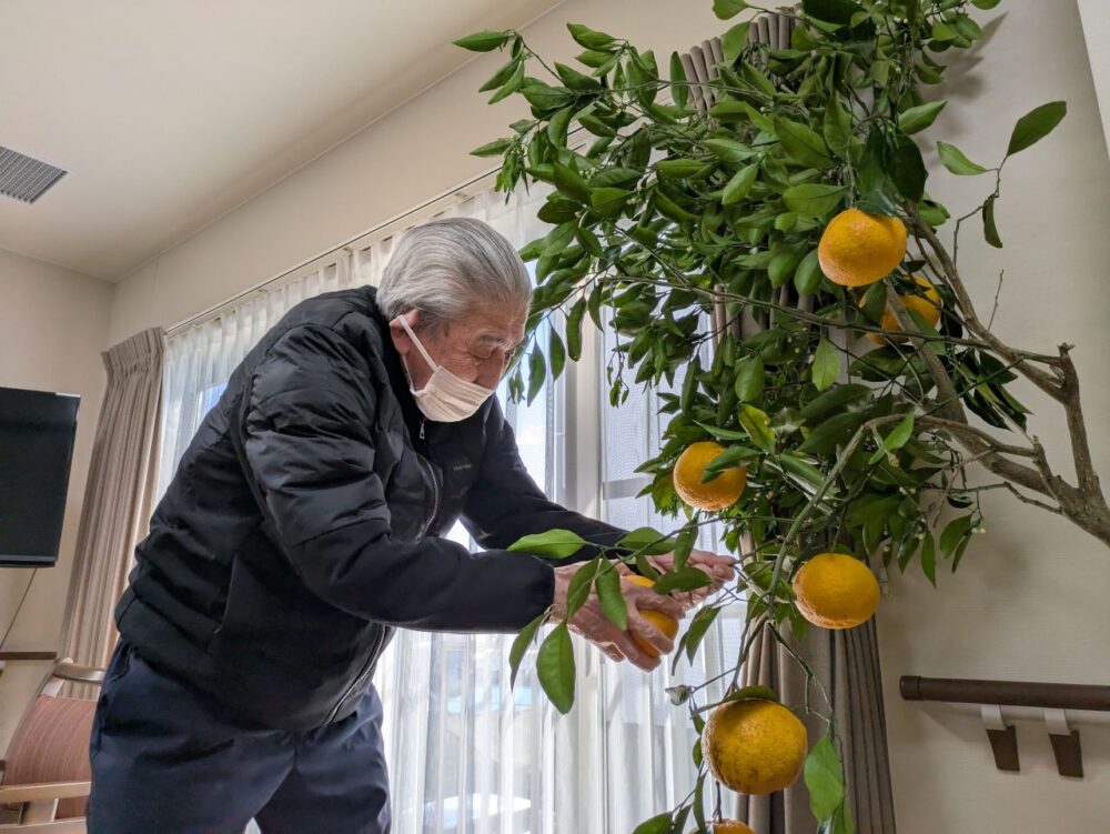 富士市グループホーム_甘夏狩りレクリエーション