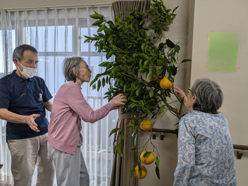 富士市グループホーム_甘夏狩りレクリエーション