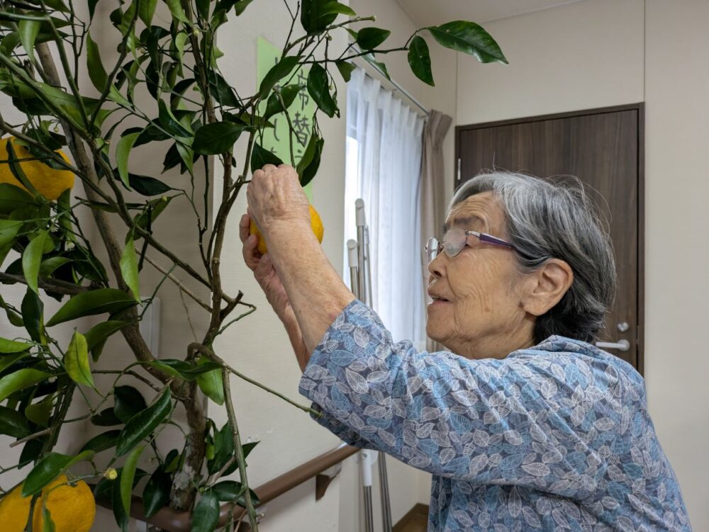 富士市グループホーム_甘夏狩りレクリエーション