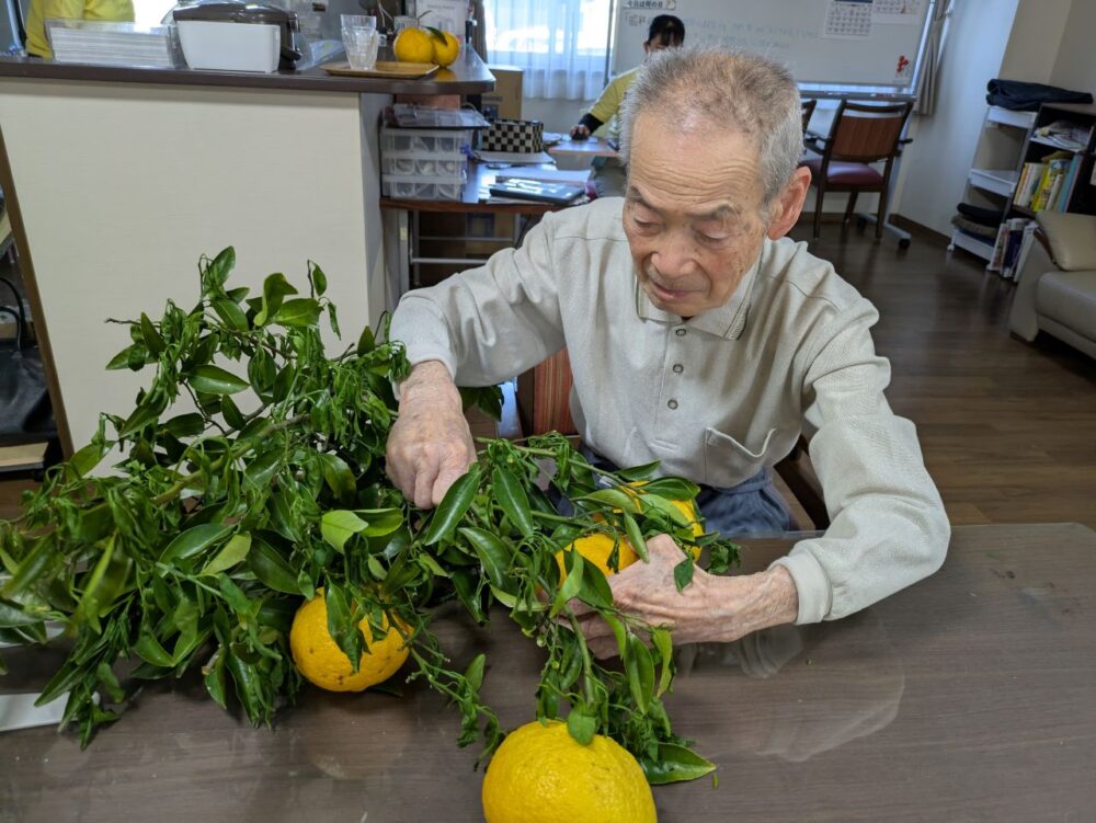 富士市グループホーム_甘夏狩りレクリエーション
