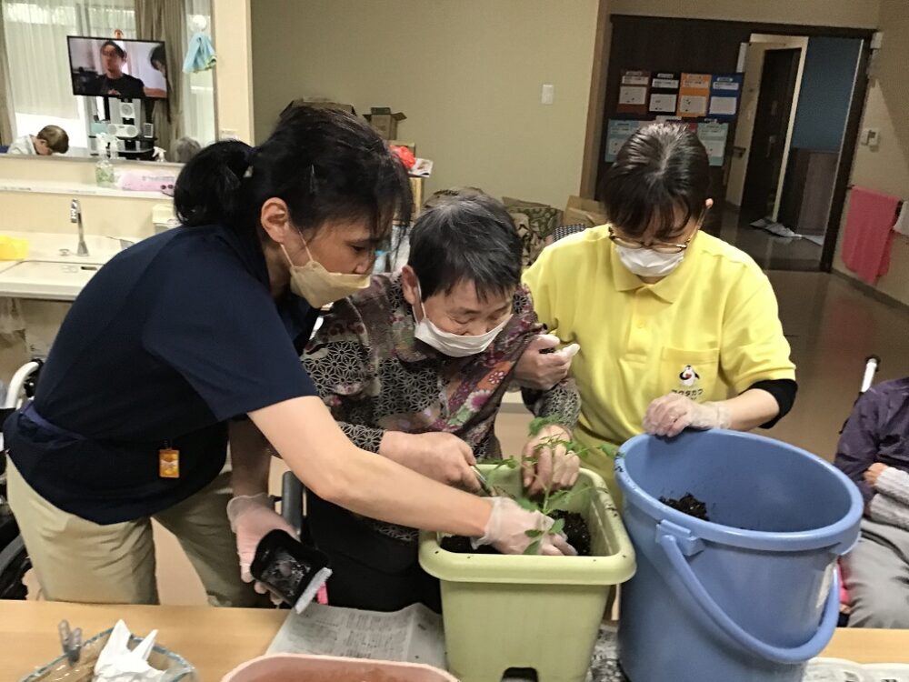 沼津市グループホーム_5月の園芸活動