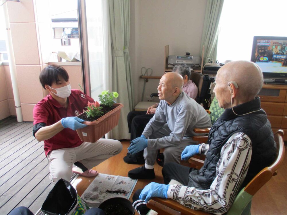 HFH八幡