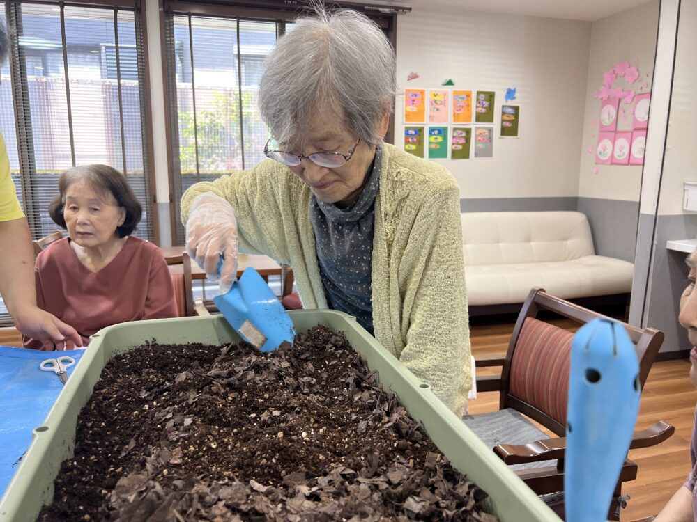 島田東グループホーム　夏に向けてきゅうりを植えよう！