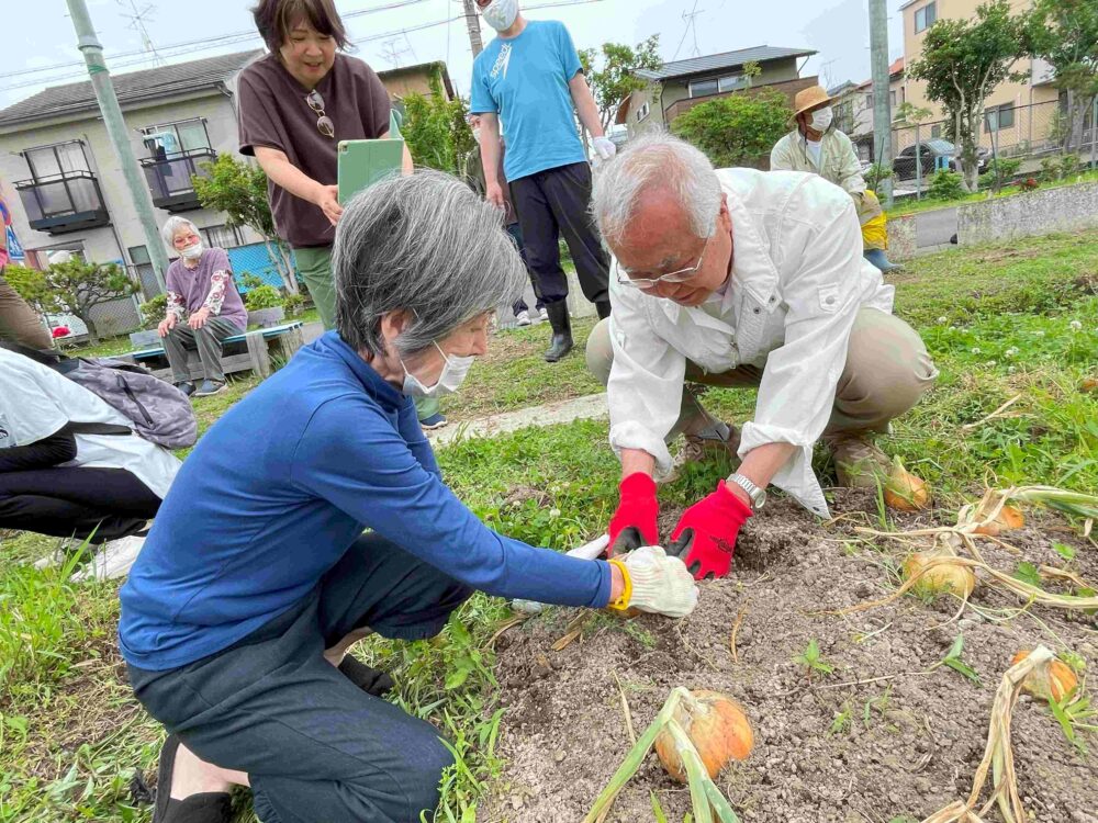 HFH八幡