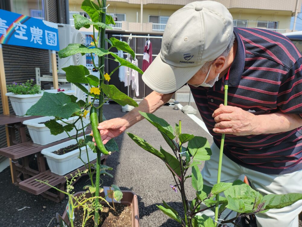 ハートフルホーム藤枝青葉町