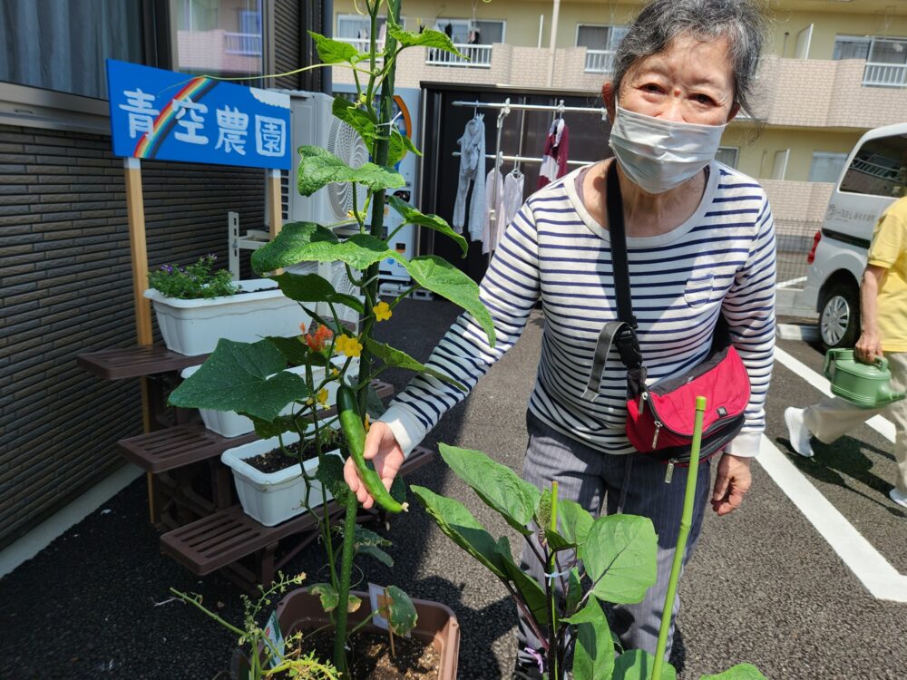 ハートフルホーム藤枝青葉町