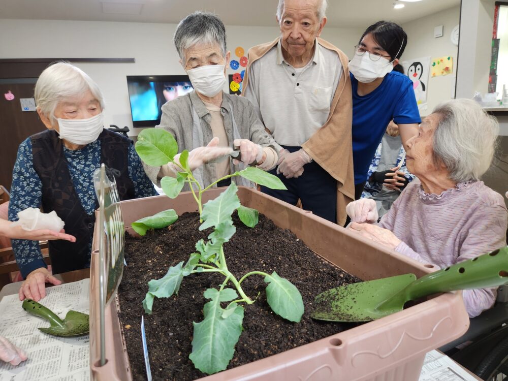 ハートフルホーム藤枝青葉町