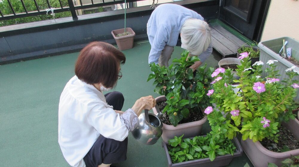 静岡市葵区グループホーム_園芸クラブ