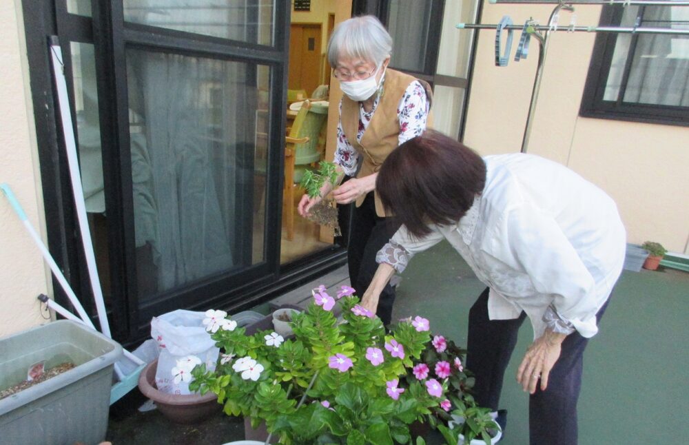 静岡市葵区グループホーム_園芸クラブ