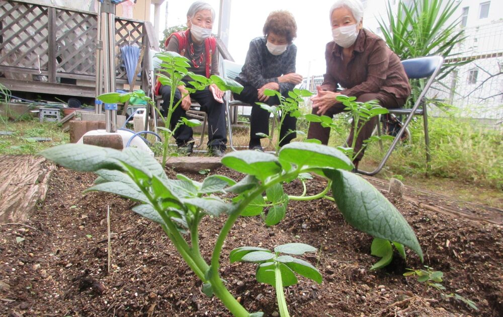 静岡市葵区グループホーム_園芸クラブ2025.10