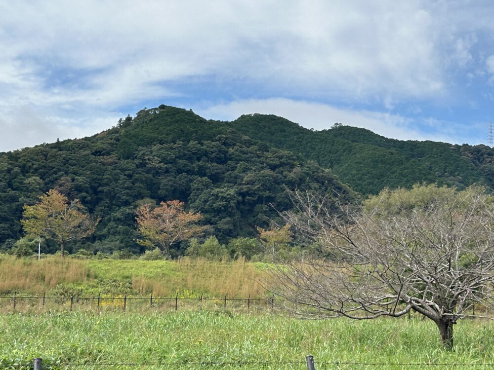 静岡市駿河区グループホーム_外出レクリエーションin真富士の里2025