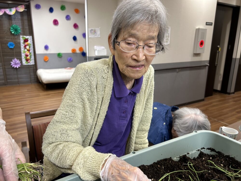 島田市グループホーム_来年にむけて玉ねぎを植えよう