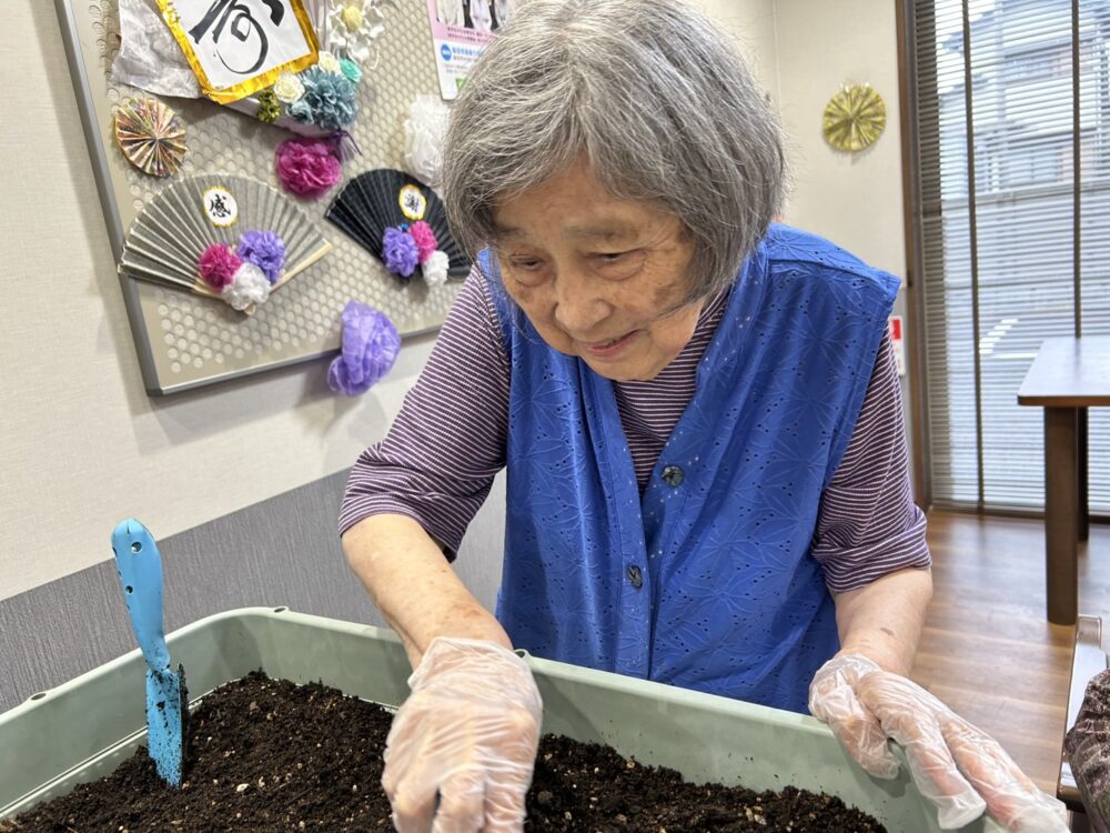 島田市グループホーム_来年にむけて玉ねぎを植えよう