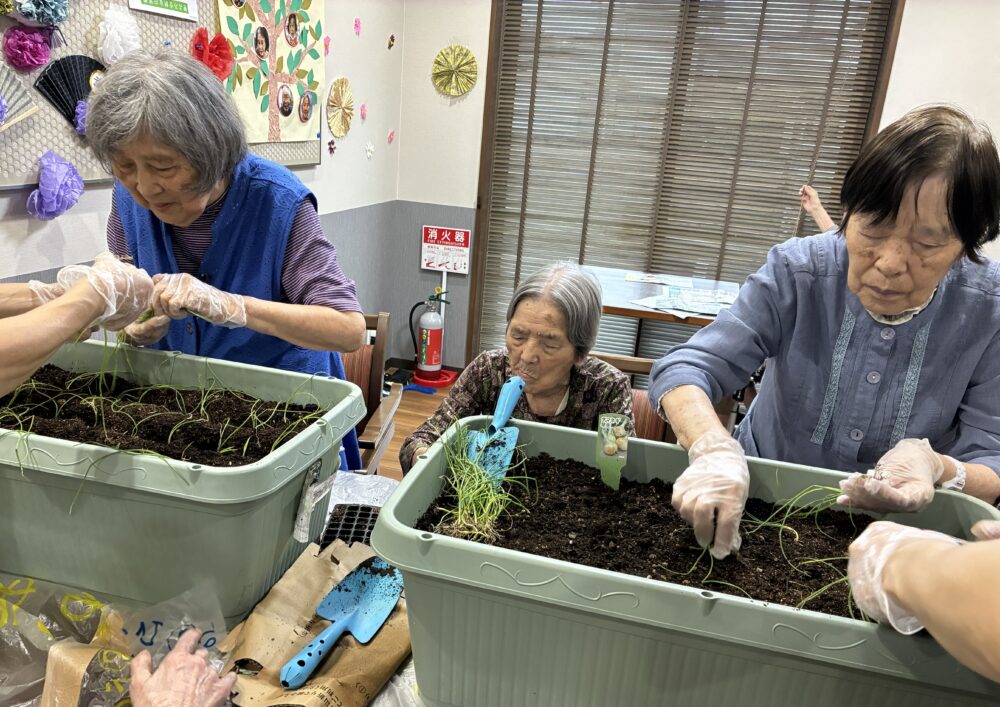 島田市グループホーム_来年にむけて玉ねぎを植えよう