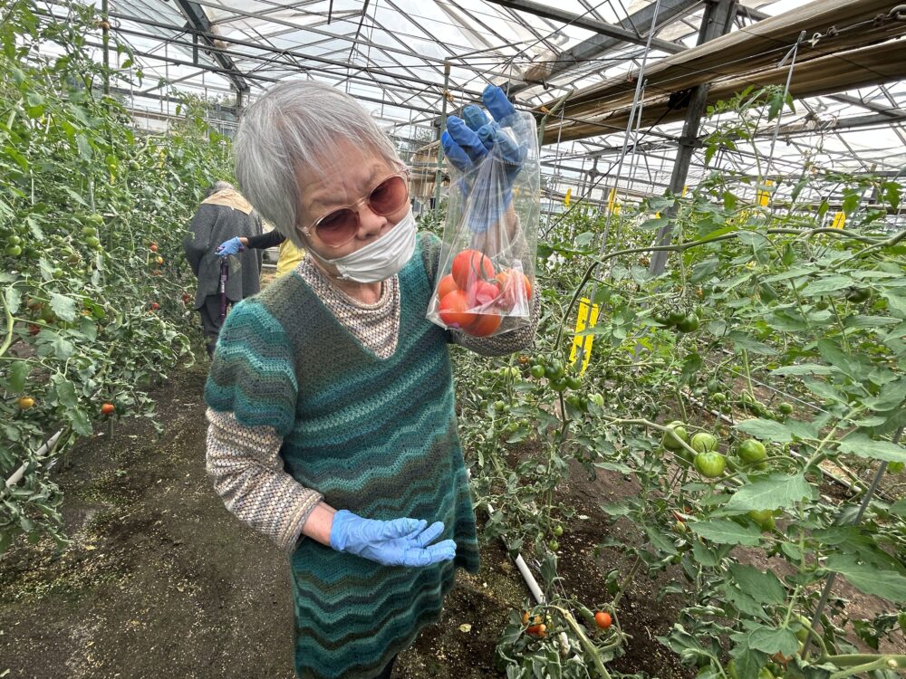 静岡市駿河区グループホーム_トマト狩り開催