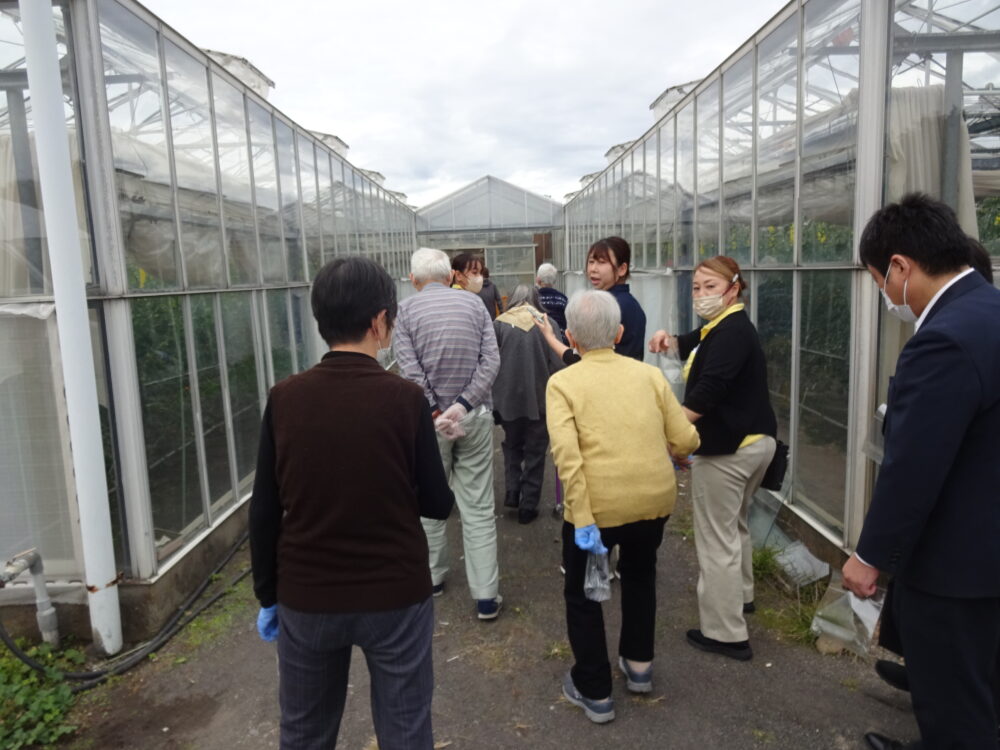 静岡市駿河区グループホーム_トマト狩り開催